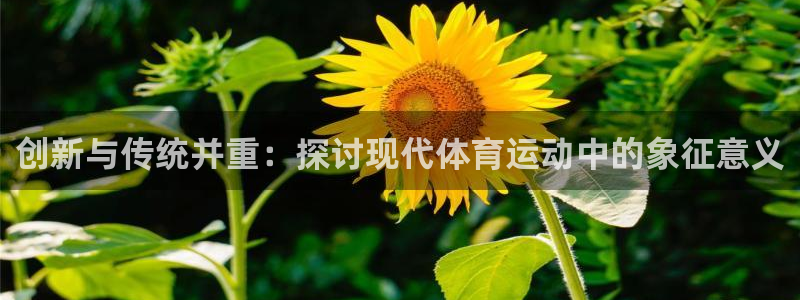 betway西汉姆联