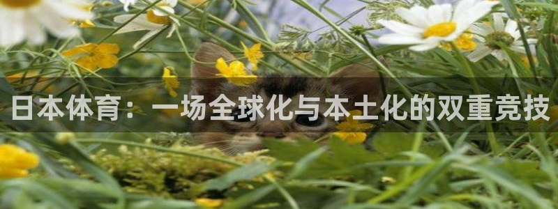 betway西汉姆联官网