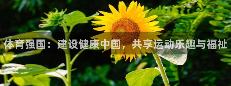 betway西汉姆官网