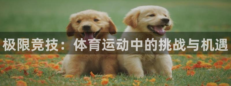 必威betway西汉姆联
