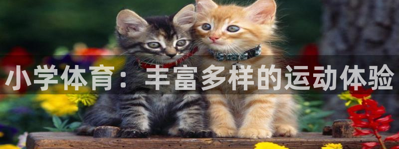 betway西汉姆