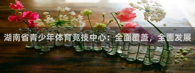 必威betway西汉姆联