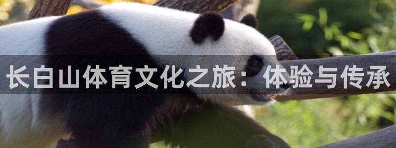 betway西汉姆联